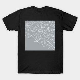 Ab Storm Grey T-Shirt